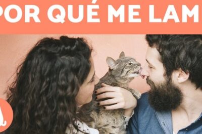 Mujer sostiene a un gato lame la nariz de un hombre