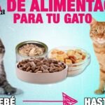 Guía Completa: ¿Qué Verduras Comen los Gatos?