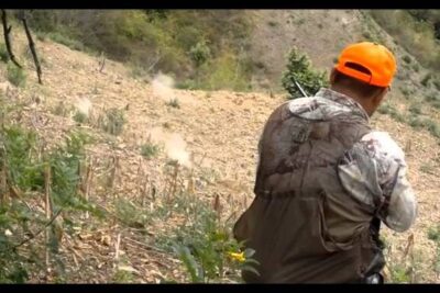Hombre con chaleco y gorra naranja observando un claro de monte, imagen para guia completa sobre la alimentacion de los venados cola blanca.