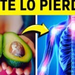 Guía completa sobre qué comen los langostinos: dieta, hábitos alimenticios y más