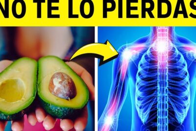 Manos sosteniendo un aguacate partido junto a una ilustración del esqueleto con puntos brillantes en articulaciones y una flecha que conecta alimento y cuerpo guia completa sobre que comen los langostinos dieta habitos alimenticios y mas