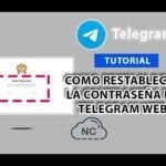 Guía rápida: Cómo usar Telegram Web con código QR ¡Entra ahora!