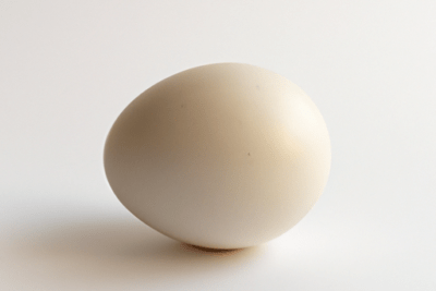 Un huevo blanco sobre fondo neutro para ilustrar temas de huevo caducado todo lo que necesitas saber sobre este alimento