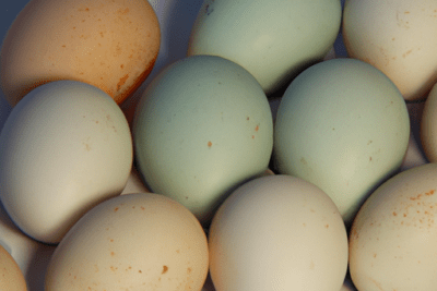Primer plano de huevos de tonos crema y verde pálido con pequeñas motas, imagen para la búsqueda huevos caducados 6 dias son seguros o deben ser desechados.