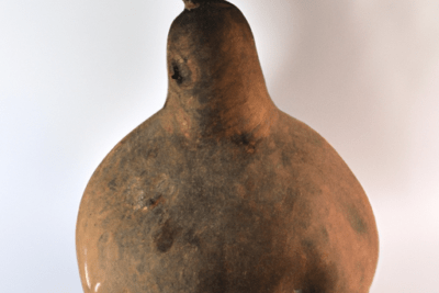 Calabaza seca y redondeada usada como ilustración sobre jarabe caducado que sucede si lo consumes y como evitarlo