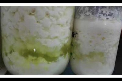Dos frascos con kefir burbujas, grumos blancos y suero amarillento separado