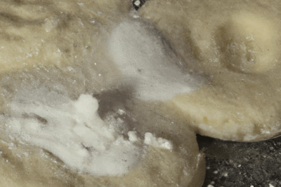 La importancia de no utilizar harina para hot cakes caducada en nuestra cocina, mostrada en masa con harina espolvoreada y textura irregular