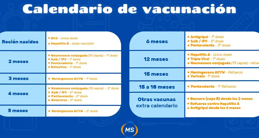 Gráfico del calendario de vacunación infantil por edades que muestra BCG, dosis neonatal de hepatitis B y otras vacunas; la vacuna contra la hepatitis b previene la enfermedad mortal.