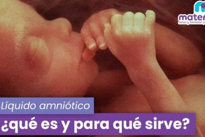 Feto en el útero con texto informativo sobre liquido amniotico 1