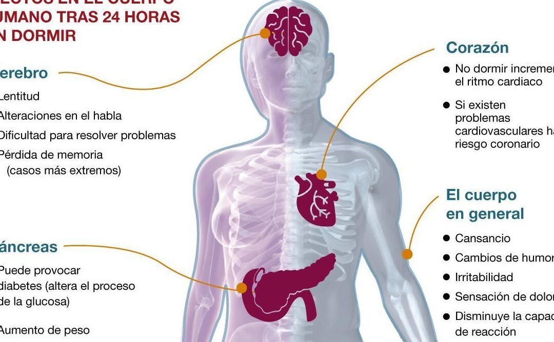 Diagrama que muestra los efectos sorprendentes de dormir en el piso por demasiado tiempo en el cerebro, el corazón, el páncreas y el cuerpo en general tras 24 horas sin dormir