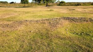 Pradera abierta con hierba, pequeñas piedras y árboles en el horizonte, ideal para los mejores lugares azores guia completa