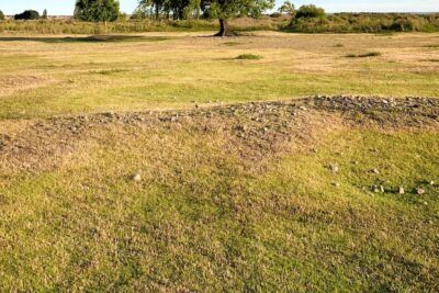 Pradera abierta con hierba, pequeñas piedras y árboles en el horizonte, ideal para los mejores lugares azores guia completa