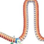 ¿Por qué la caca flota en el inodoro? Descubre qué significa este fenómeno