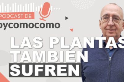Portada de podcast con el texto LAS PLANTAS TAMBIEN SUFREN y retrato de un presentador en fondo claro que comen las ardillas descubre aqui su dieta variada y nutritiva