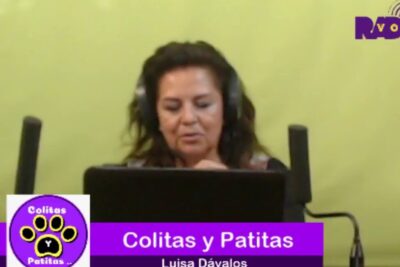 Locutora con auriculares frente a micrófonos y banner morado en estudio, que comen las ballenas jorobadas descubre su dieta y habitos alimenticios