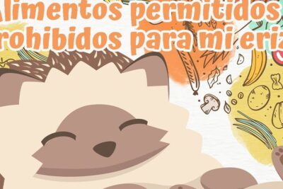 Ilustración de un erizo sonriente con dibujos de alimentos permitidos y prohibidos que comen las lombrices de tierra descubre su alimentacion y habitos