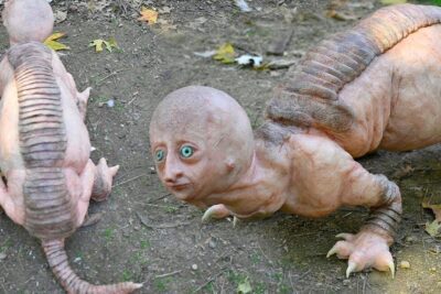Criatura anfibia de piel rosada y aspecto surrealista con cabeza humanoide y espalda segmentada que comen las ranas albinas guia completa de alimentacion para estas fascinantes criaturas