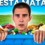 ¿Qué comen las tortugas marinas? Descubre su dieta y hábitos alimenticios