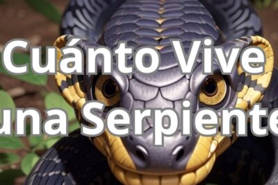 Primer plano intenso de una serpiente con escamas y ojos dorados que comen las viboras descubre la dieta de estos fascinantes reptiles