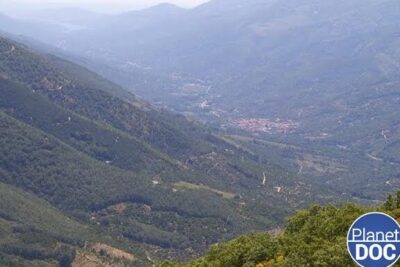 Valle y bosques montañosos que evocan el hábitat ideal para observar que comen los mirlos descubre la dieta de estas fascinantes aves