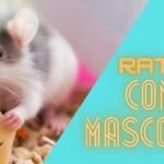 ¿Qué Comen los Ratones? Guía Completa sobre la Alimentación de los Roedores