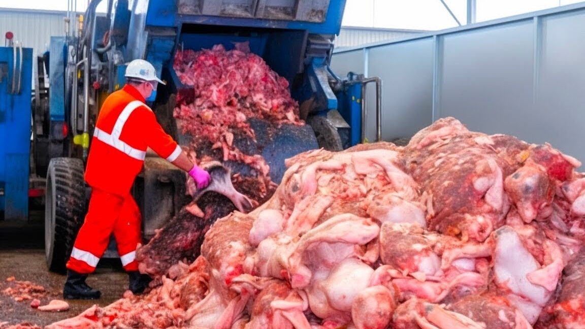Descarte masivo de carne en planta de residuos con operario en equipo de seguridad que comen los soldados mexicanos descubre los secretos detras de su alimentacion