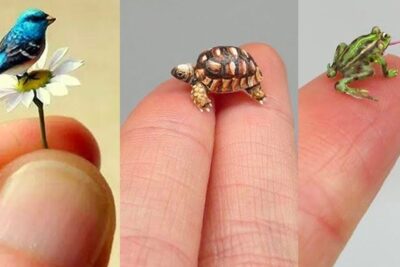 Miniaturas de un pájaro azul sobre una margarita, una tortuga y una rana posadas en yemas de dedos, que comen los toros descubre la dieta ideal para estos majestuosos animales