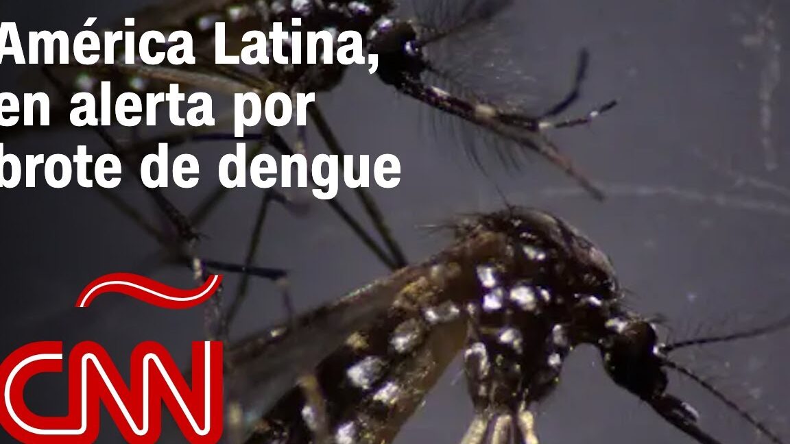 Primer plano de zancudos y texto de alerta por dengue que comen los zancudos y cual es su impacto en la salud humana