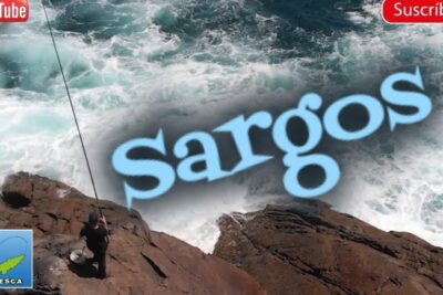 Pescador con caña en las rocas frente al mar y texto Sargos, visual ideal para búsquedas sobre que comen los zapateros descubre los secretos de la alimentacion de estos profesionales.