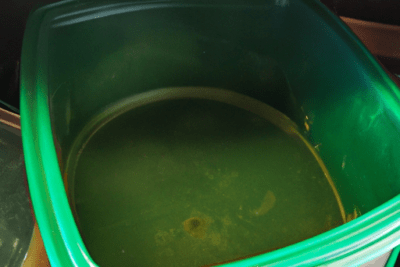 Contenedores plásticos verdes en estantería de tienda que debes hacer si encuentras un producto caducado en el supermercado.