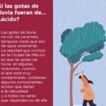 ¿Qué ecosistema vivimos y cómo nos afecta?