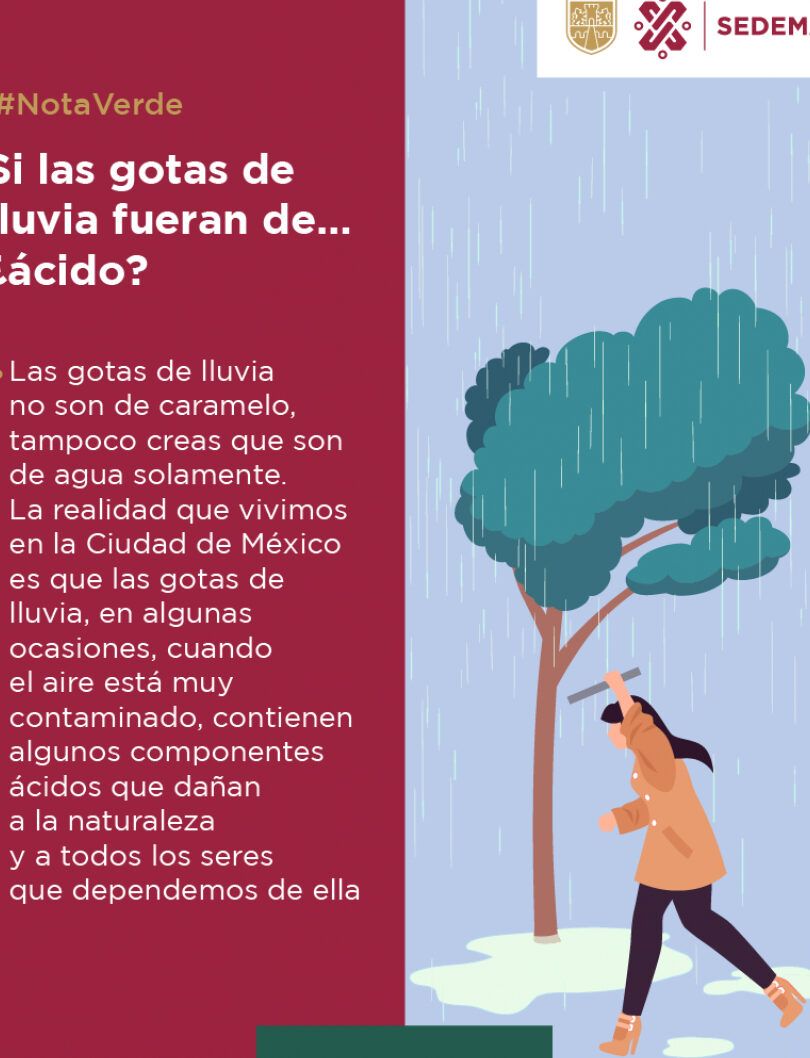 Persona bajo lluvia junto a un árbol y panel informativo sobre lluvia ácida que ecosistema vivimos y como nos afecta 1.