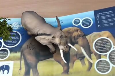 Modelo de elefante 3D sobre un material educativo que ilustra que es la realidad aumentada en educacion.