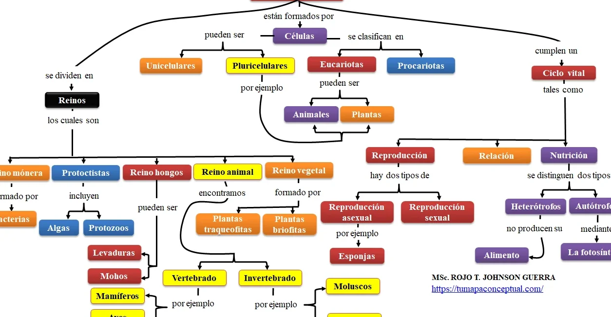Mapa conceptual colorido que explica que es un organismo vivo descubre su definicion y caracteristicas y clasifica reinos, células y funciones vitales