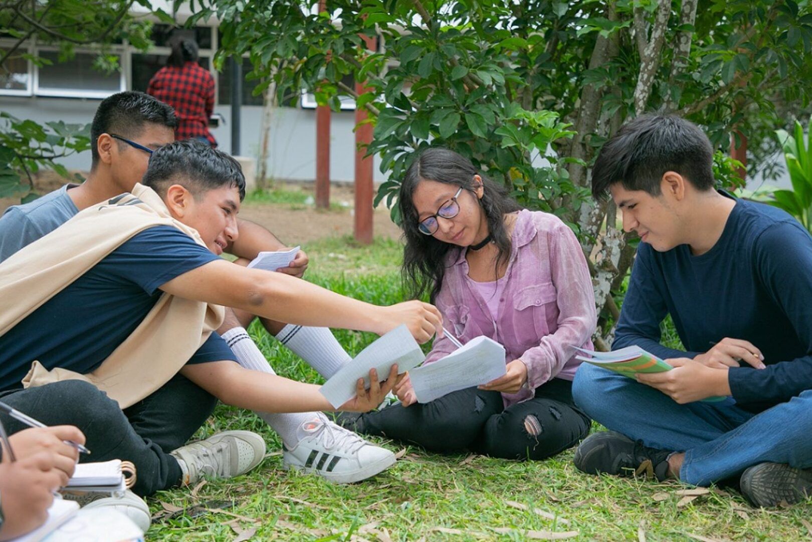 Estudiantes sentados en el césped revisando apuntes y discutiendo que requisitos y beneficios tiene la beca 18 ordinaria.