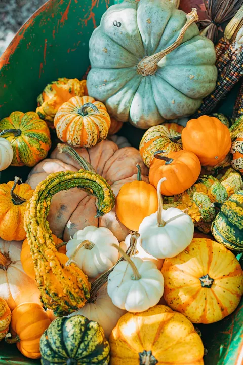 Una imagen de una persona sosteniendo una calabaza y rechazándola con gesto de negación 