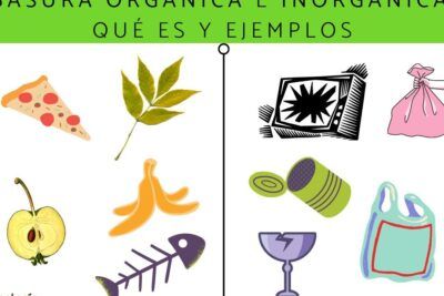 Infografía dividida que muestra ejemplos de basura orgánica (porción de pizza, hoja, manzana, cáscara de plátano, espina de pescado) y basura inorgánica (televisión rota, lata, vidrio roto, bolsas) y que significa dar en el blanco explicacion y ejemplos