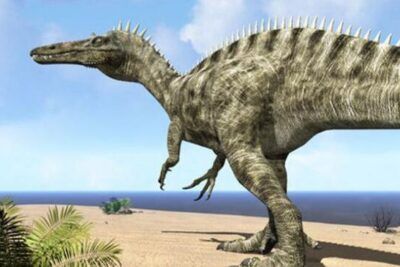 Dinosaurio bípedo caminando por una playa arenosa con el mar al fondo, imagen evocadora que incluye la frase que significa sonar con estar desnudo en publico