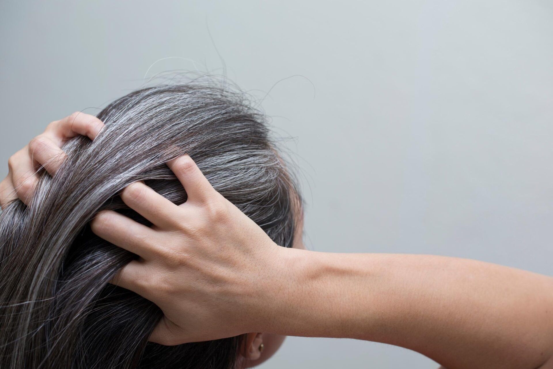 Manos sujetando mechones de cabello canoso mostrando que sucede cuando arrancas una cana descubre las consecuencias aqui.