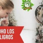 ¿Qué sucede si comes moho negro? Descubre las consecuencias