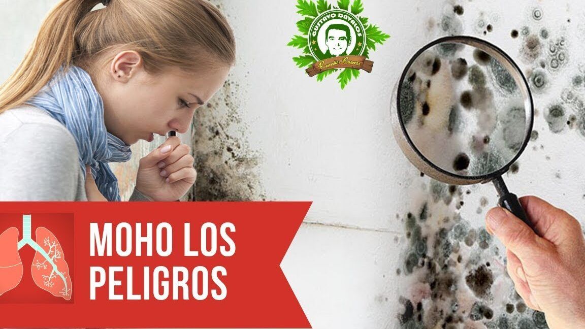 Que sucede si comes moho negro descubre las consecuencias, mujer con tos frente a pared con moho y lupa que muestra esporas
