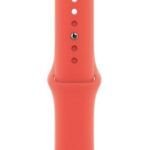 Quitar correa Apple Watch sin dañarlo: guía segura y sencilla
