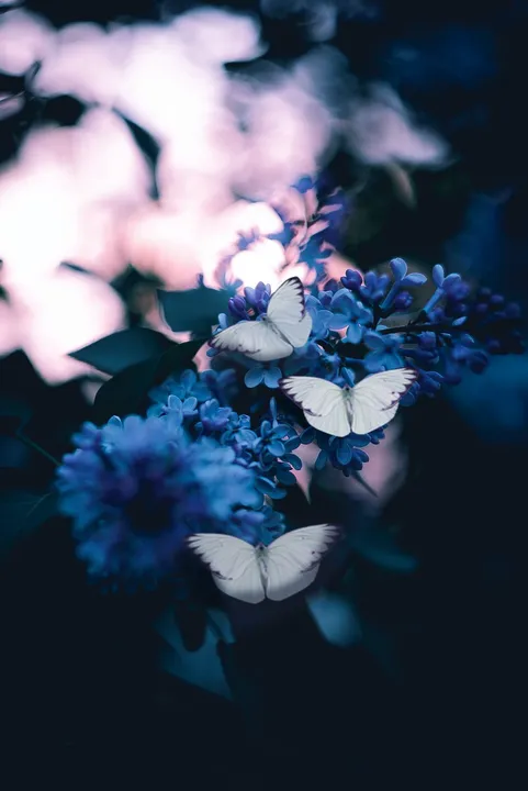 Mariposa azul volando sobre un campo de flores, simbolizando transformación, libertad y delicadeza 