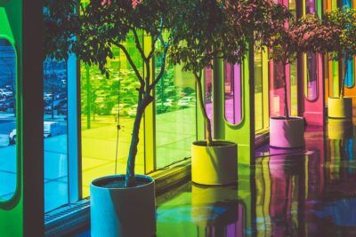 Corredor interior con árboles en macetas y paneles de vidrio multicolor que muestran el significado color rosa palo claro entre otros tonos