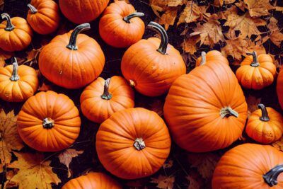 Calabazas naranjas sobre hojas secas de otoño que evocan el significado de dar calabazas todo lo que debes saber