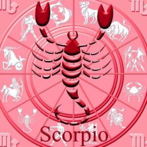 Rueda zodiacal rosa con un escorpión en relieve y la palabra 'Scorpio', significado de libra en la personalidad descubre tu verdadero yo
