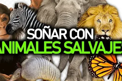 Collage de animales salvajes con título sobre significado de sonar con ser atacado por un monstruo dudas suenos