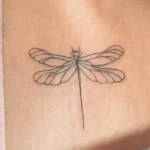 Significado de tatuaje de estrella fugaz | Guía completa