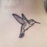 Significado de un tatuaje de colibrí: todo lo que necesitas saber