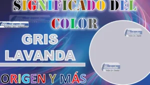 Cartel con texto y muestra del significado del color lavanda gris lo esencial en un círculo de tono gris lavanda